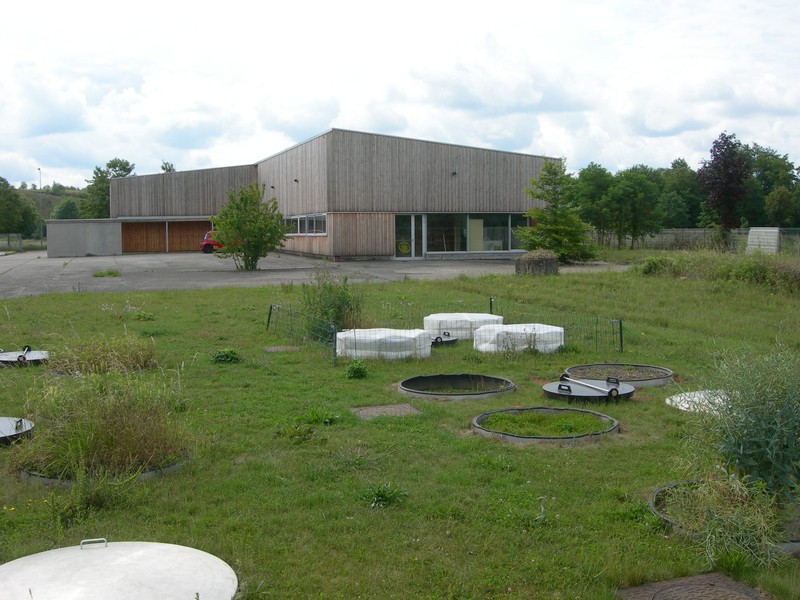 2010